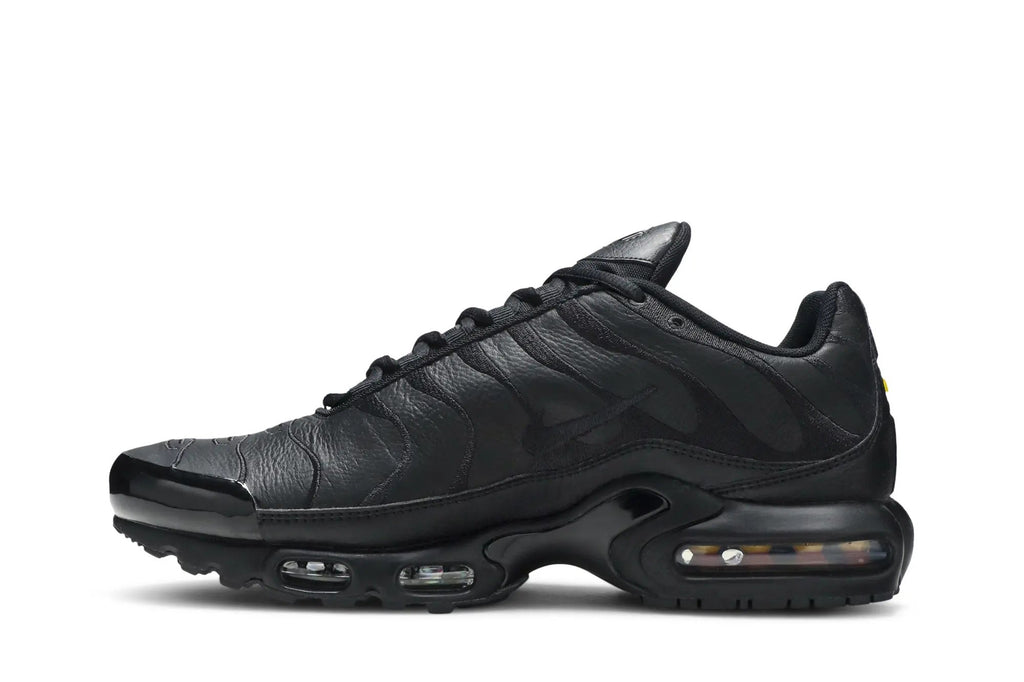 Air Max Plus TN 'Triple Black'